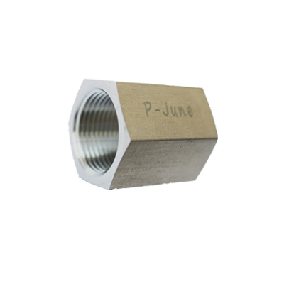 Stainless Steel Adapter